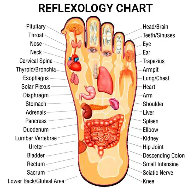 Reflexology Slippers