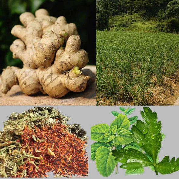Postur I Parche De Jengibre Curativo Detox Linfático