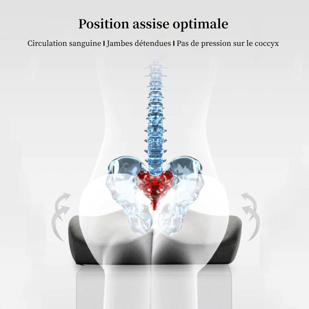 POSTUR I Coussin de siège ergonómico