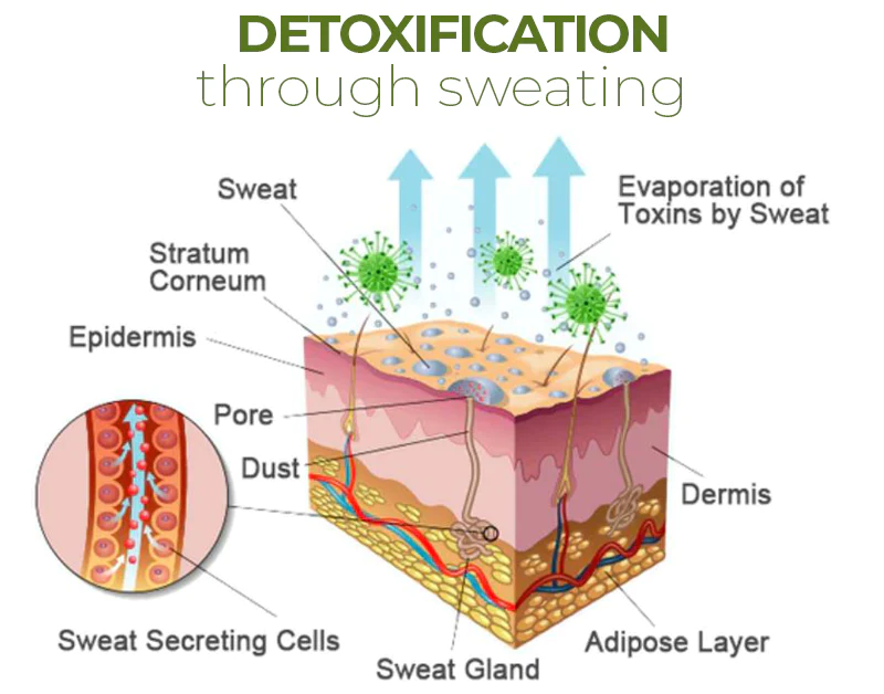 Detoxing Foot Patch
